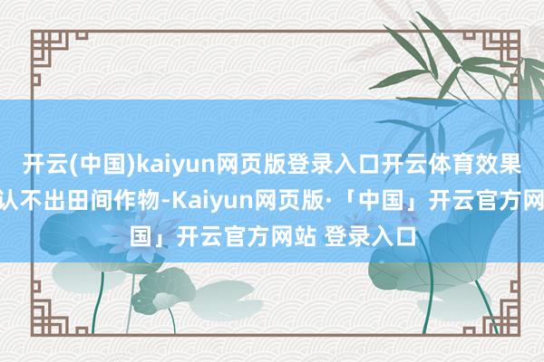 开云(中国)kaiyun网页版登录入口开云体育效果会背公式却认不出田间作物-Kaiyun网页版·「中国」开云官方网站 登录入口