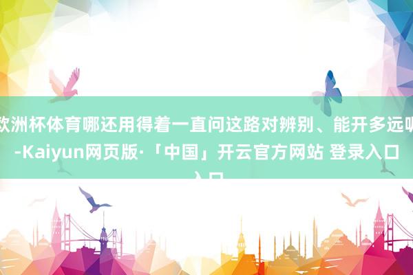 欧洲杯体育哪还用得着一直问这路对辨别、能开多远呢-Kaiyun网页版·「中国」开云官方网站 登录入口