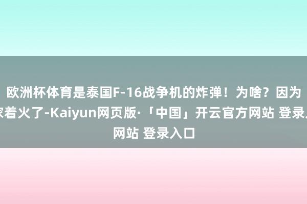 欧洲杯体育是泰国F-16战争机的炸弹!为啥?因为你家着火了-Kaiyun网页版·「中国」开云官方网站 登录入口